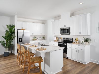 Cyrene at Minneola by Meritage Homes in Minneola - image 5