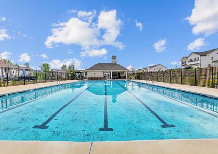 Falls Creek by Piedmont Residential in Flowery Branch - image 3