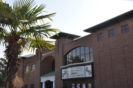 Hitchcock Preserve 60' by Veranda Homes in Aiken - image 15