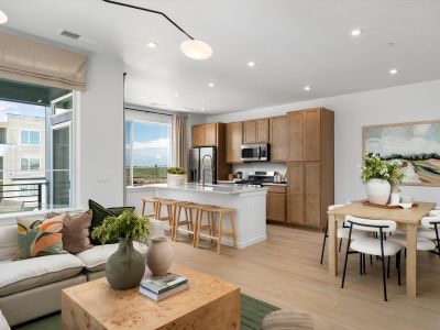 Lyric at RidgeGate Townhomes by Lokal Homes in Lone Tree - image 3