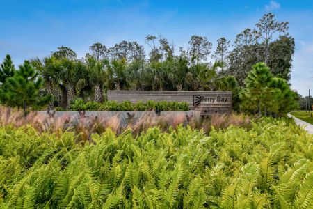 Berry Bay by M/I Homes in Wimauma - image 2