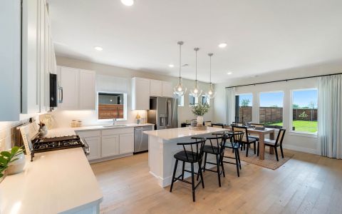 Solterra by CastleRock Communities in Mesquite - photo 38 38