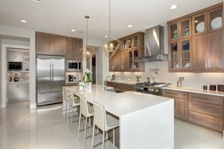 Travisso by Drees Custom Homes in Leander - photo 23 23