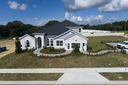 Wolf Lake Ranch by M/I Homes in Apopka - photo 10 10