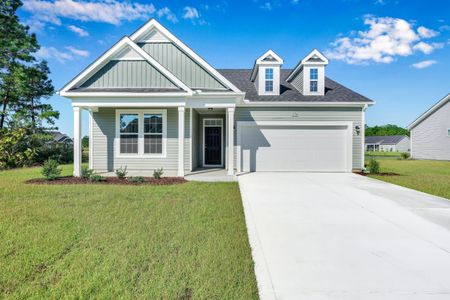 Cottages at Wingate by Dream Finders Homes in Wingate - photo 0 0