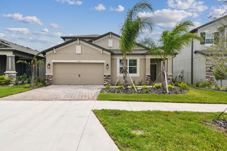 Berry Bay by M/I Homes in Wimauma - photo 34 34