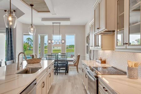 Coastal Gardens at Town Center by Paytas Homes in Palm Coast - image 6