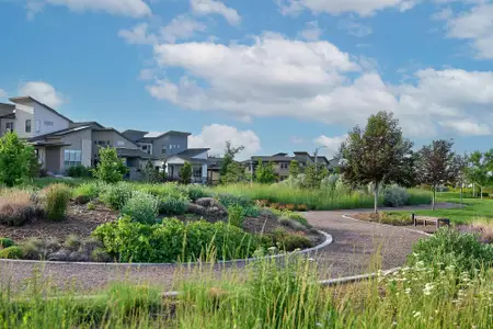 Sterling Ranch by David Weekley Homes in Littleton - image