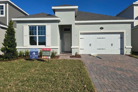 Bay Lake Farms by M/I Homes in St. Cloud - photo 32 32