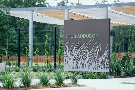 Audubon – Ascent Collection by David Weekley Homes in Magnolia - image 13