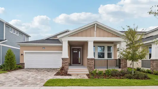 Primrose at Longleaf by DRB Homes in New Port Richey - image 9