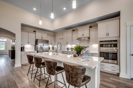 Arcadia by Mungo Homes in Myrtle Beach - image 5
