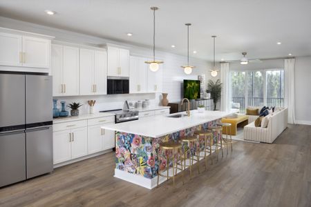 Lakespur at Wellen Park by Mattamy Homes in Venice - image 3