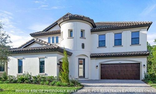 Creek Ridge Preserve by Homes by WestBay in Lithia - image 5