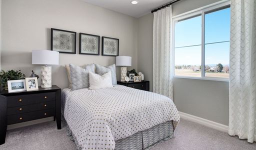 Urban Collection at Copperleaf by Richmond American Homes in Aurora - photo 12 12