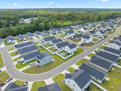 Seaside Palms by Dream Finders Homes in Sunset Beach - image 9