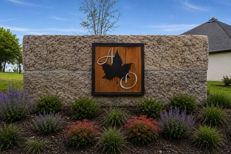 Arbor Oaks by Cheldan Homes in Boyd - image 11