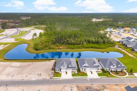 The Villas at Longleaf Park, a Watersound Origins® community by Fischer Homes in Inlet Beach - image 19