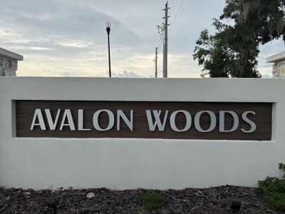 Avalon Woods by D.R. Horton in Newberry - image