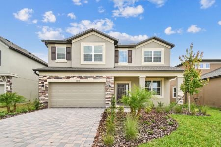 Hilltop Point by M/I Homes in Dade City - photo 74 74