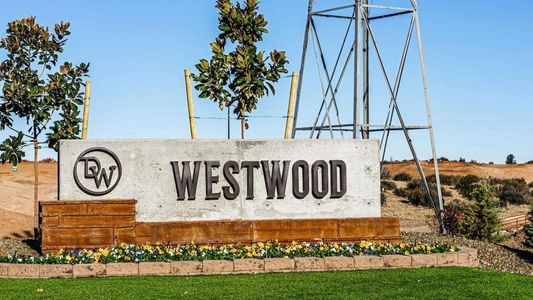 Westwood by Davidson Homes LLC in Prescott - photo 2 2