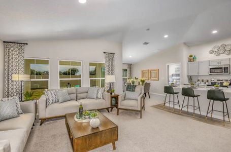 Hawkstone by Casa Fresca Homes in Lithia - photo 20 20