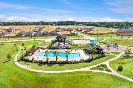 Sorella by M/I Homes in Tomball - image 18