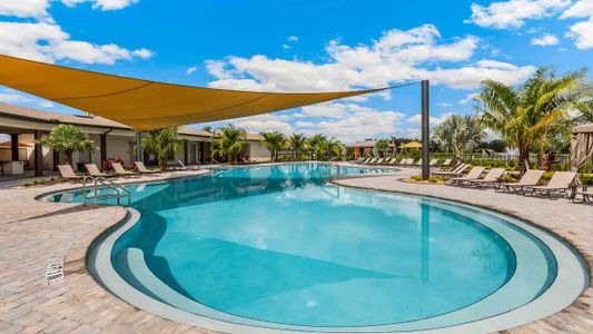 Summerstone by D.R. Horton in Wesley Chapel - photo 21 21