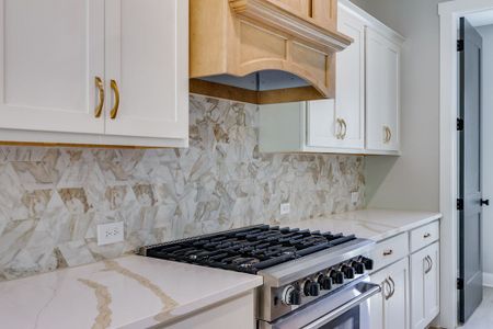 Harmon Springs by Trademark Quality Homes in Carrollton - image 6