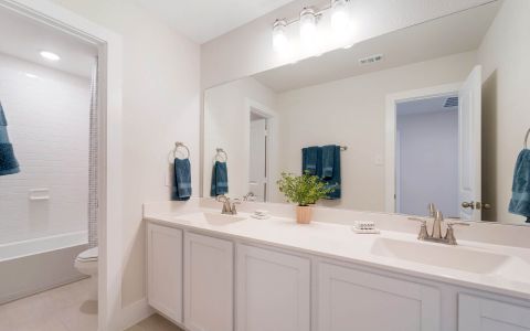 Solterra by CastleRock Communities in Mesquite - photo 51 51