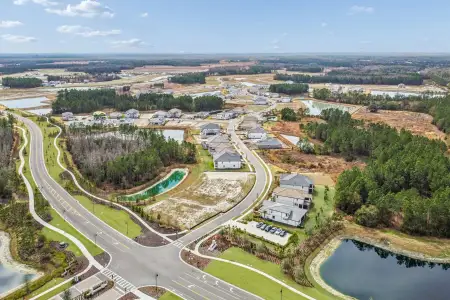 Shortgrass at Two Rivers by M/I Homes in Zephyrhills - image