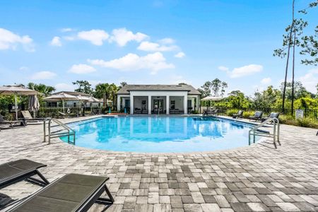 Northlake At Ovation by Rockwell Homes in Winter Garden - image 4