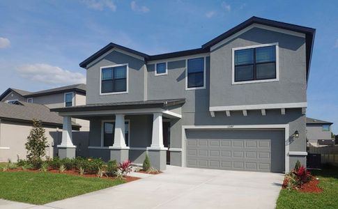 Tamarack at Two Rivers by William Ryan Homes in Zephyrhills - photo 4 4