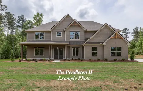 Old Lifsey Springs Estates (3 Lots) by Trademark Quality Homes in Molena - image