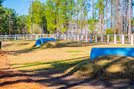 Nexton by Stanley Martin Homes in Summerville - photo 6 6