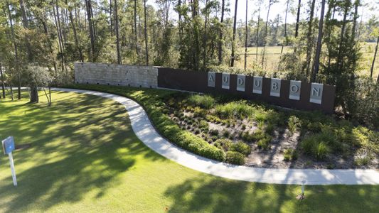 Audubon by Westin Homes in Magnolia - image 4