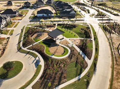 Grange 45' Homesites by David Weekley Homes in Katy - image 13
