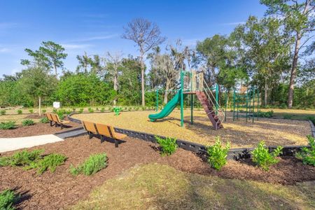 West Oak by Century Complete in Ocala - image 15