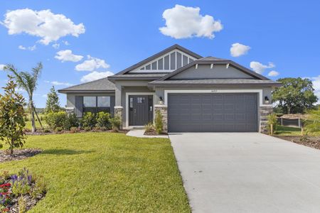 Aviary at Rutland Ranch by Adams Homes in Parrish - photo 10 10