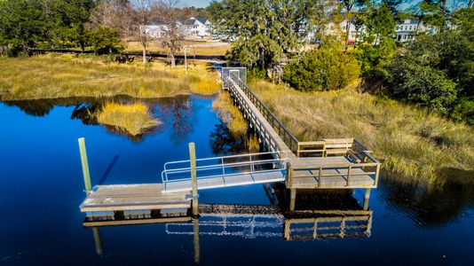 Cordgrass Landing by Mungo Homes in Johns Island - photo 8 8