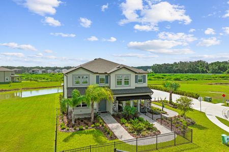 Cobblestone by M/I Homes in Zephyrhills - photo 23 23