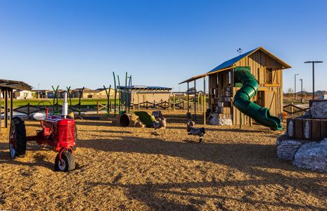 Harvest - Enchantment Series by Pulte Homes in Queen Creek - photo 7 7