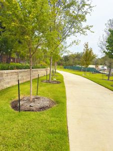 The Preserve on the Park by Cadence Homes in Addison - image 15