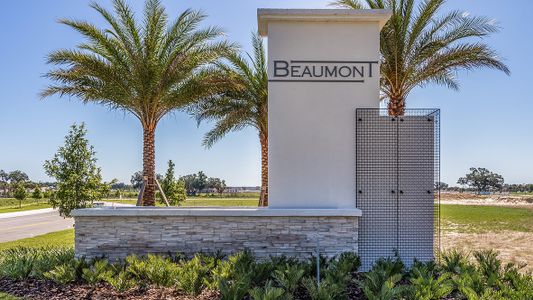 Beaumont Townhomes by D.R. Horton in Wildwood - photo 16 16