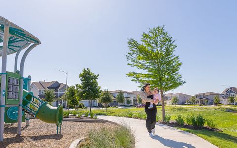 Traditional Homes at Easton Park by Brookfield Residential in Austin - photo 13 13