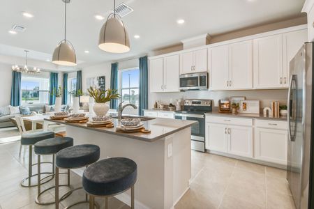 Nautique at Waterside by M/I Homes in Sarasota - photo 33 33