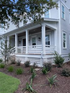 Daniel Island Park by Cline Homes in Charleston - photo 27 27