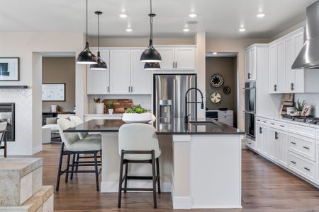 Trailstone Destination Collection by Taylor Morrison in Arvada - photo 110 110