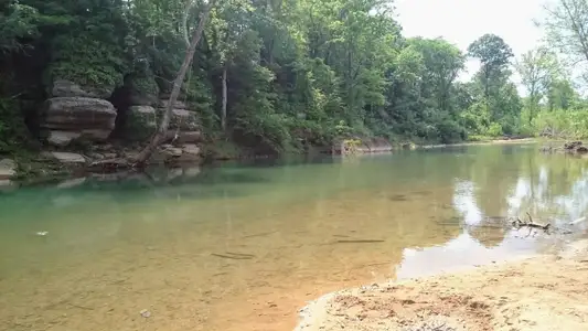 Cole Properties Subdivision by Nason Homes in Dickson - image 10