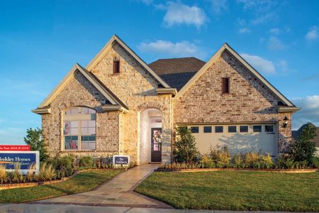 Tavolo Park Cottages by David Weekley Homes in Fort Worth - photo 13 13